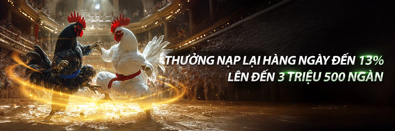 Đá gà trực tuyến kịch tính trên asia99 nổ hũ